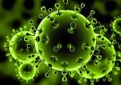 افرایش شمار مبتلایان به ویروس کرونا در جهان