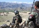 پنجاه عضو گروه طالبان در قندهار کشته و زخمی شدند
