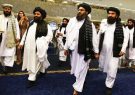 چرا درخت دموکراسی در افغانستان هرگز رشد نمی کند؟