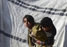 هزاران خانواده افغان از جنگ در سنگرهای طالبان گریخته اند
